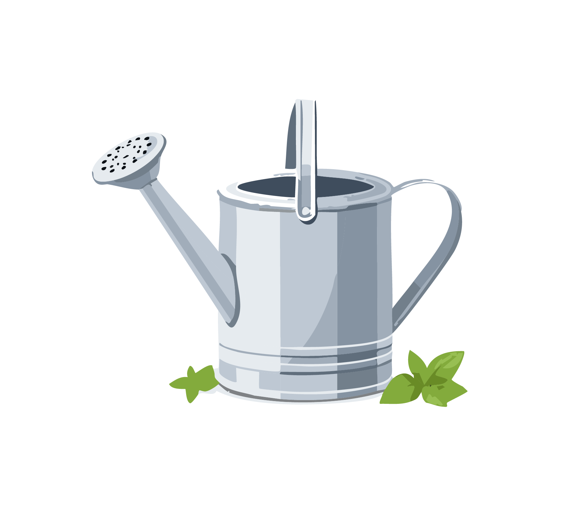 conseils entretien plantes célibattantes arrosoir pour expliquer l'entretien de nos plantes celibattantes. plantes indépendantes et faciles à entretenir pour débutants