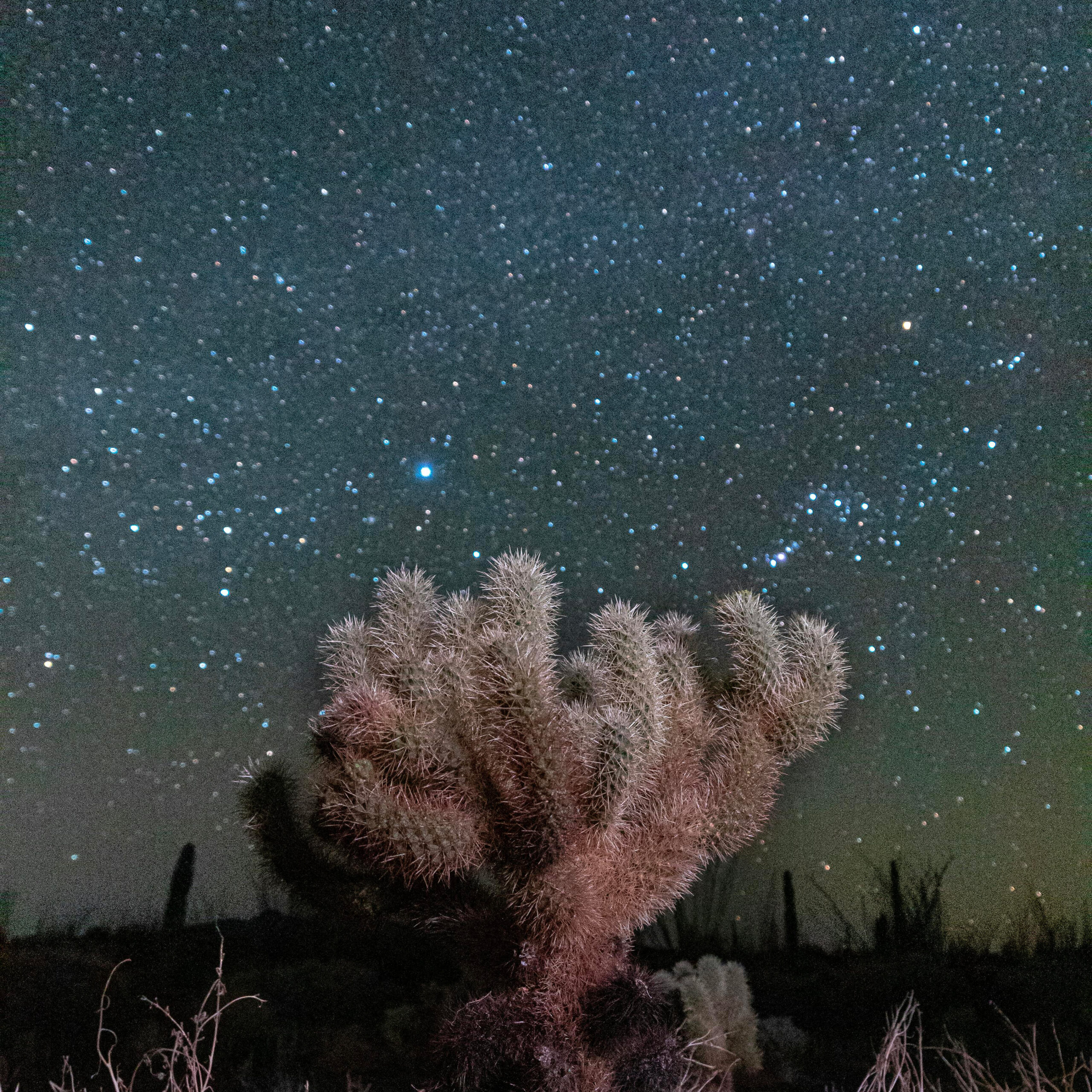 L'horoscope de plantes . Nos articles Et si votre signe astrologique pouvait vous guider dans le choix de la plante parfaite ? Découvrez quelle plante vous correspond selon votre signe astro !. Nos articles