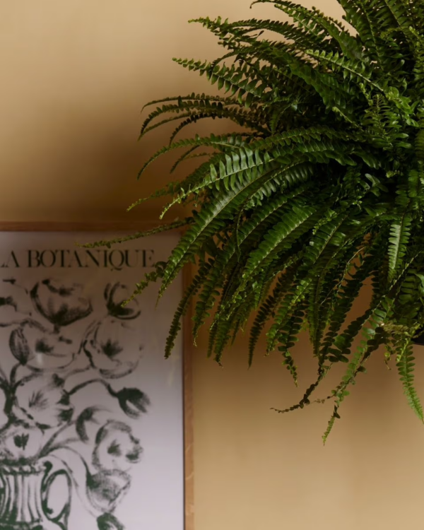 Claire – Image 3