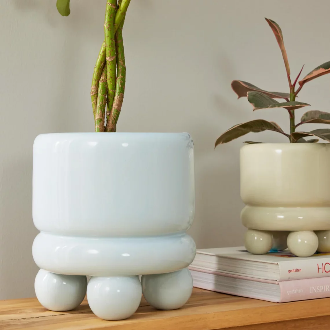 accessoires plantes accessoires plantes