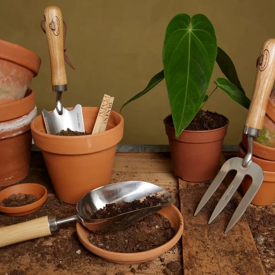 accessoires plantes accessoires plantes